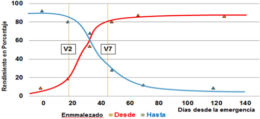 Figura 2: Efecto sobre el rendimiento diferentes períodos de convivencia de las malezas con el cultivo de maíz. (Fuente: Kozlowski, 2002)