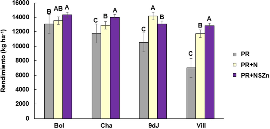 Figura 1. Rendimiento en (kg ha-1) para los cuatro sitios en estudio y los tres tratamientos de fertilización. Letras distintas dentro de cada localidad, indican diferencias significativas (p<0,05). PR: manejo del productor, PR+N: manejo de productor con un 50% más de N, y PR+NSZn: PR+N con una dosis de suficiencia para S y Zn.