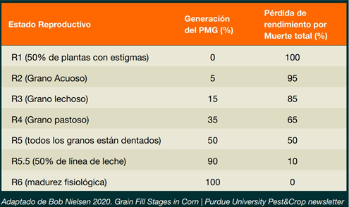 Figura 6: Porcentaje de generación del peso de mil granos PMG y pérdida de rendimiento por estadío en caso de que suceda una helada. Los valores corresponden a plantas que mueren por el evento helada. 