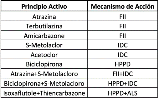 Cuadro 3: Principales herbicidas utilizados en pre-emergencia del cultivo de maíz. Fuente: KWS.