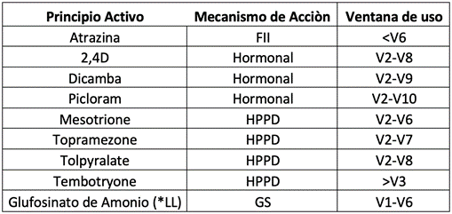 Cuadro 4: Principales herbicidas utilizados en post-emergencia del cultivo de maíz. Fuente: KWS.