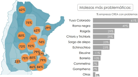 Figura 3: Relevamiento de malezas más problemáticas en la región agrícola argentina. Fuente: Relevamiento de malezas- Proyecto malezas CREA.