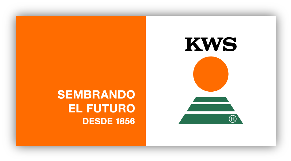 kws_logo_sh_slogan_ar_rgb.png