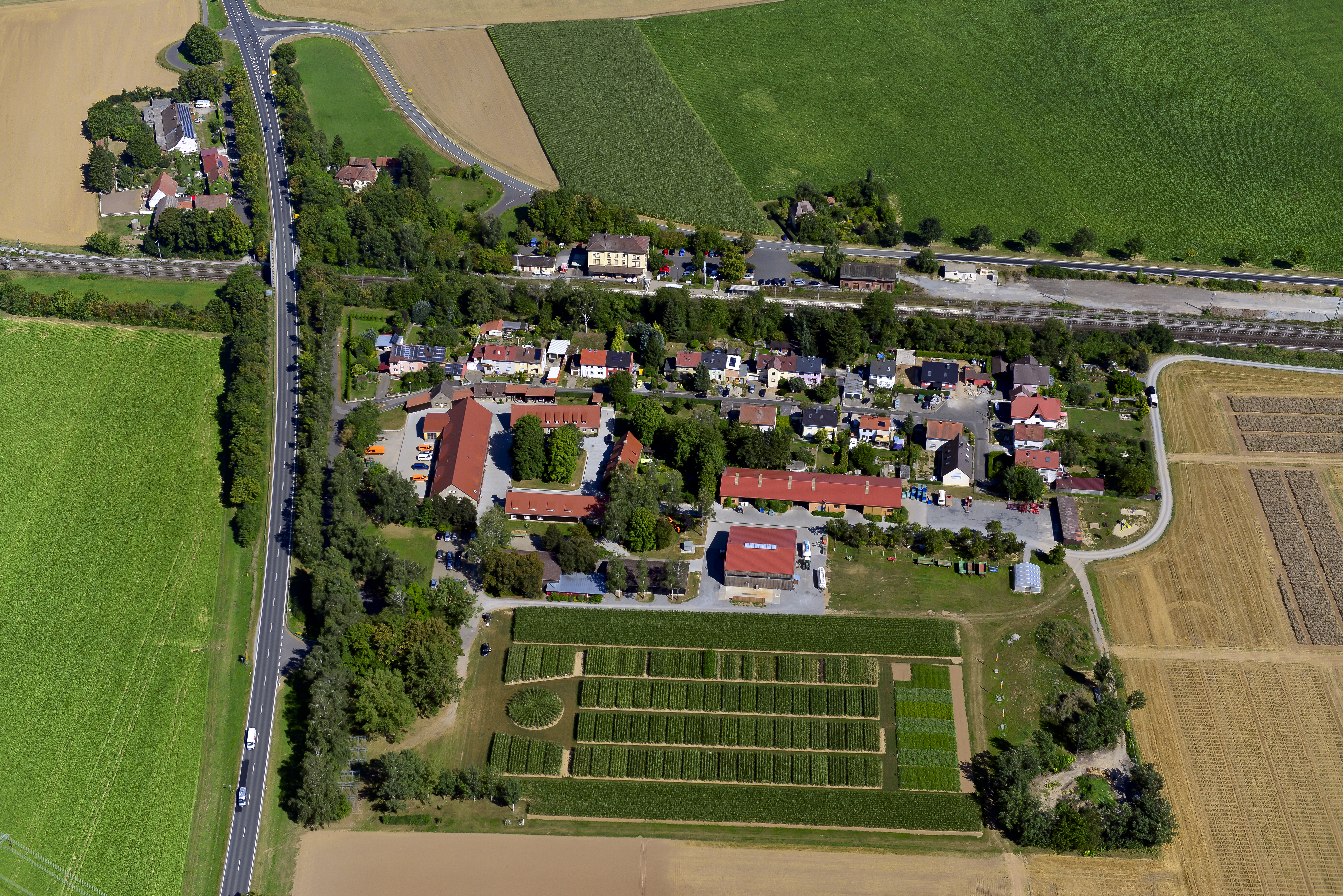 Luftaufnahme der KWS Zuchtstation in Seligenstadt