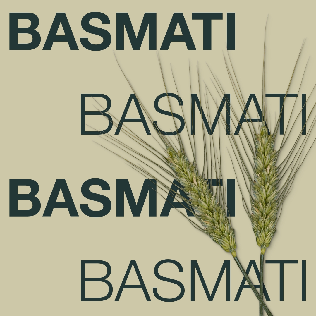 basmati_keyvisual_hr_1x1_1.jpg