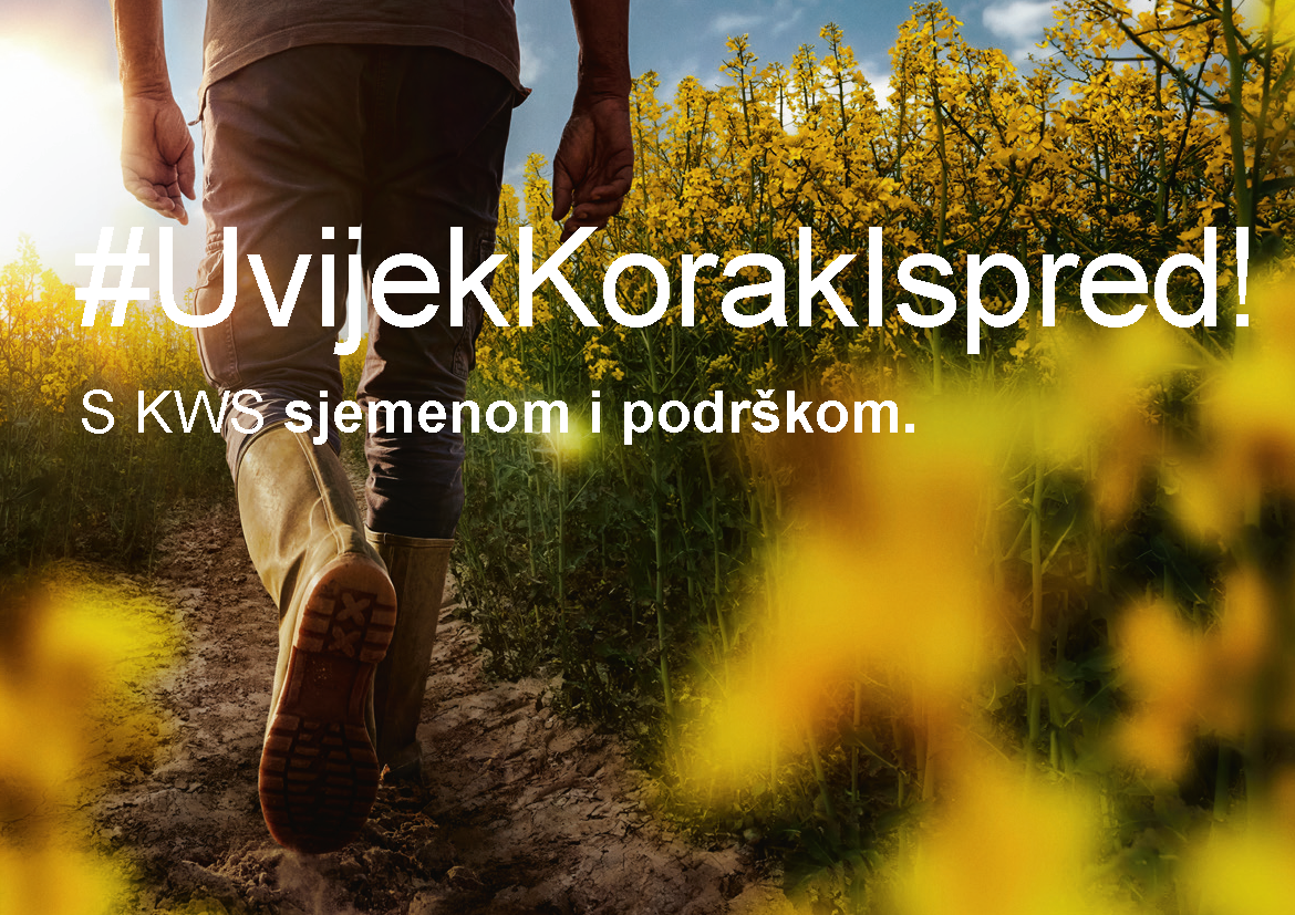 kws-8826_raps_imagekampagne_a4quer_meta_page_1.png