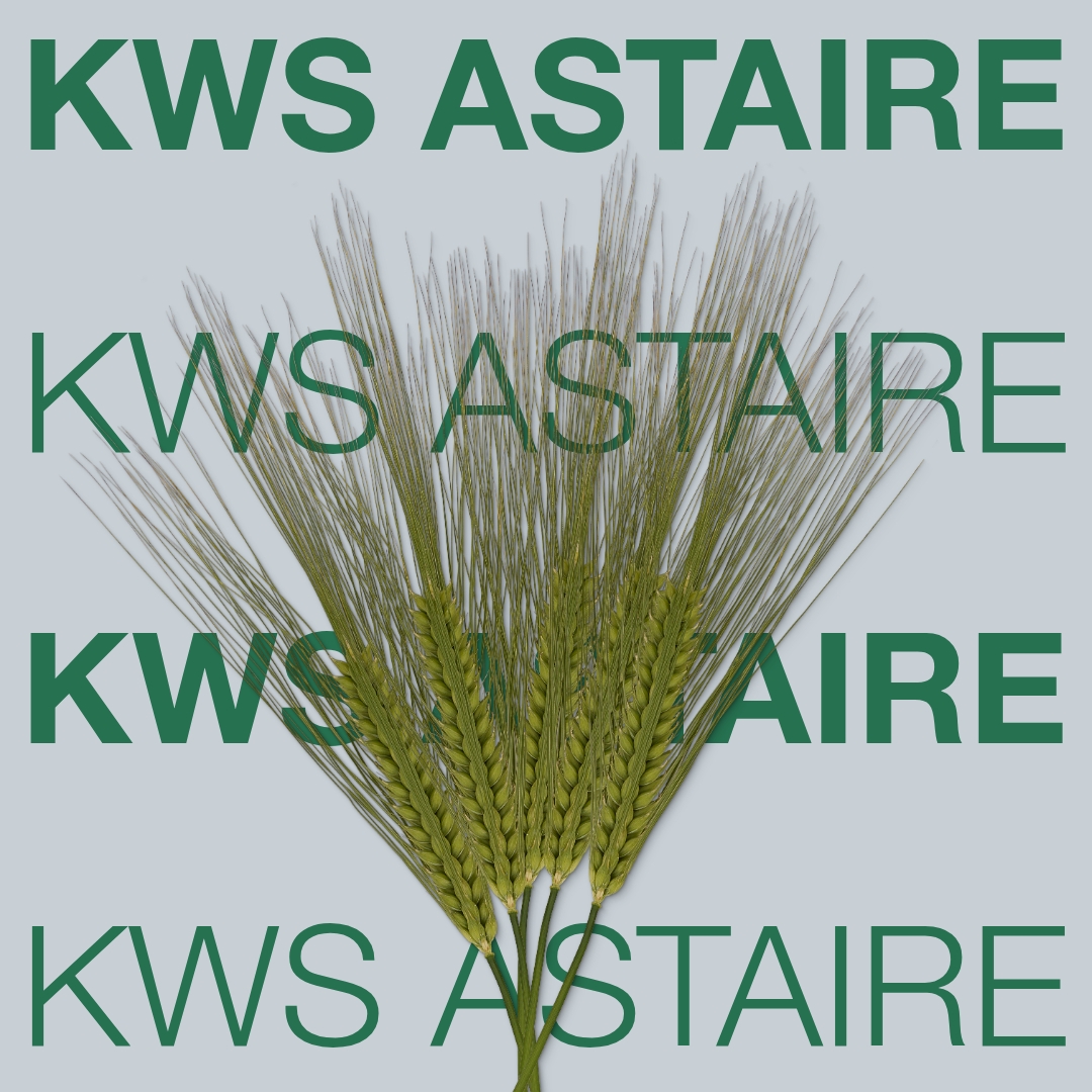 kws_astaire_keyvisual_hr_1x1_1.jpg
