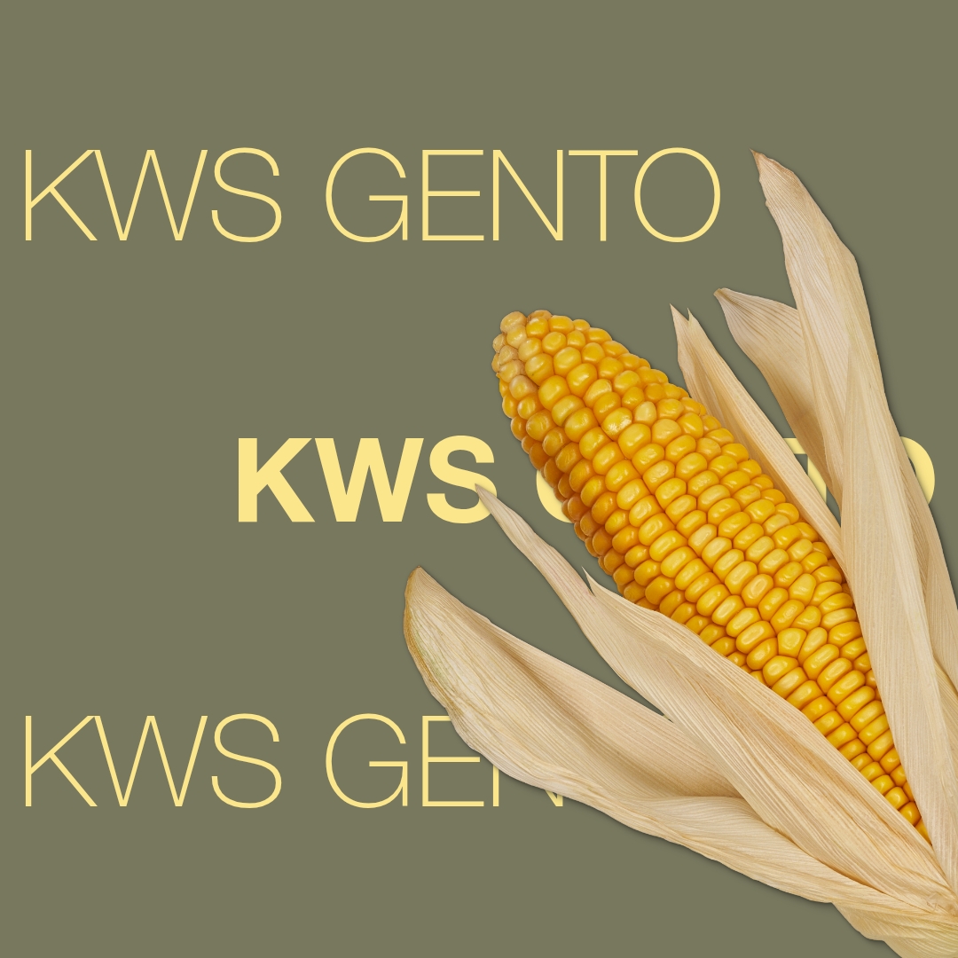 kws_gento_keyvisual_hr_1x1_1-2.jpg