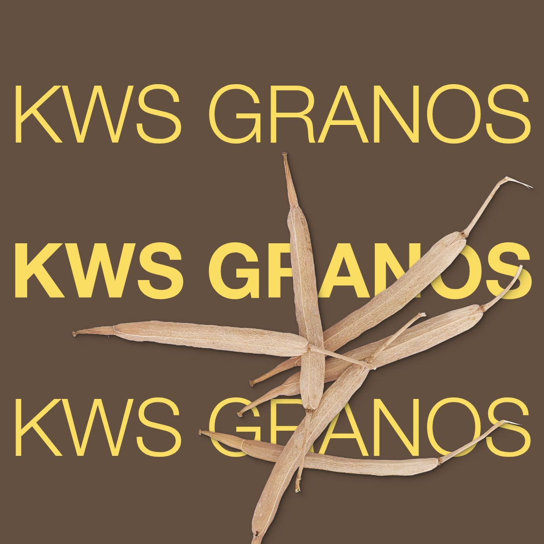 kws_granos_keyvisual_hr_1x1_1.jpg