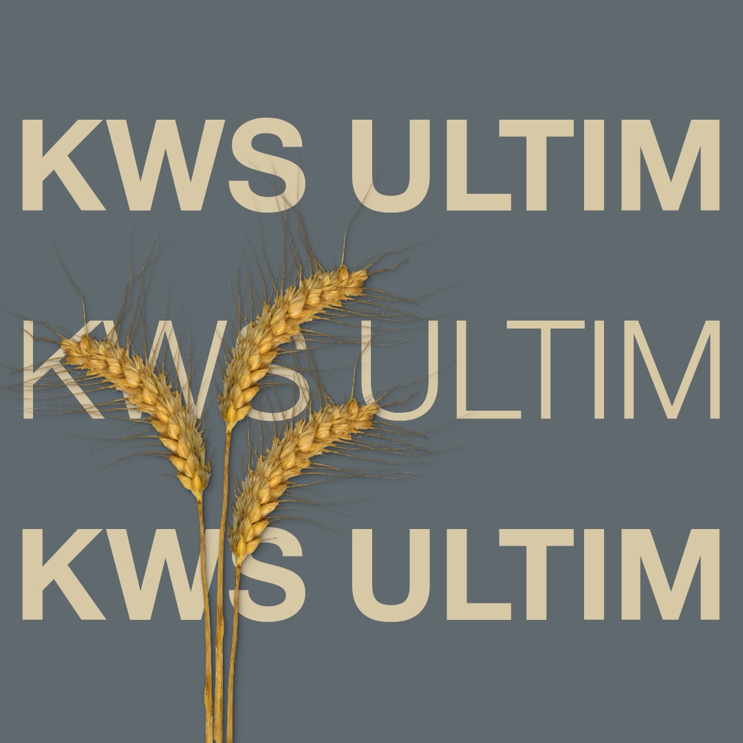 kws_ultim_keyvisual_hr_1x1_1.jpg