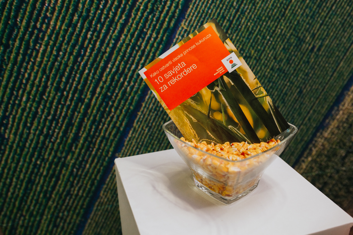 Plus4GRAIN corn max guide first page