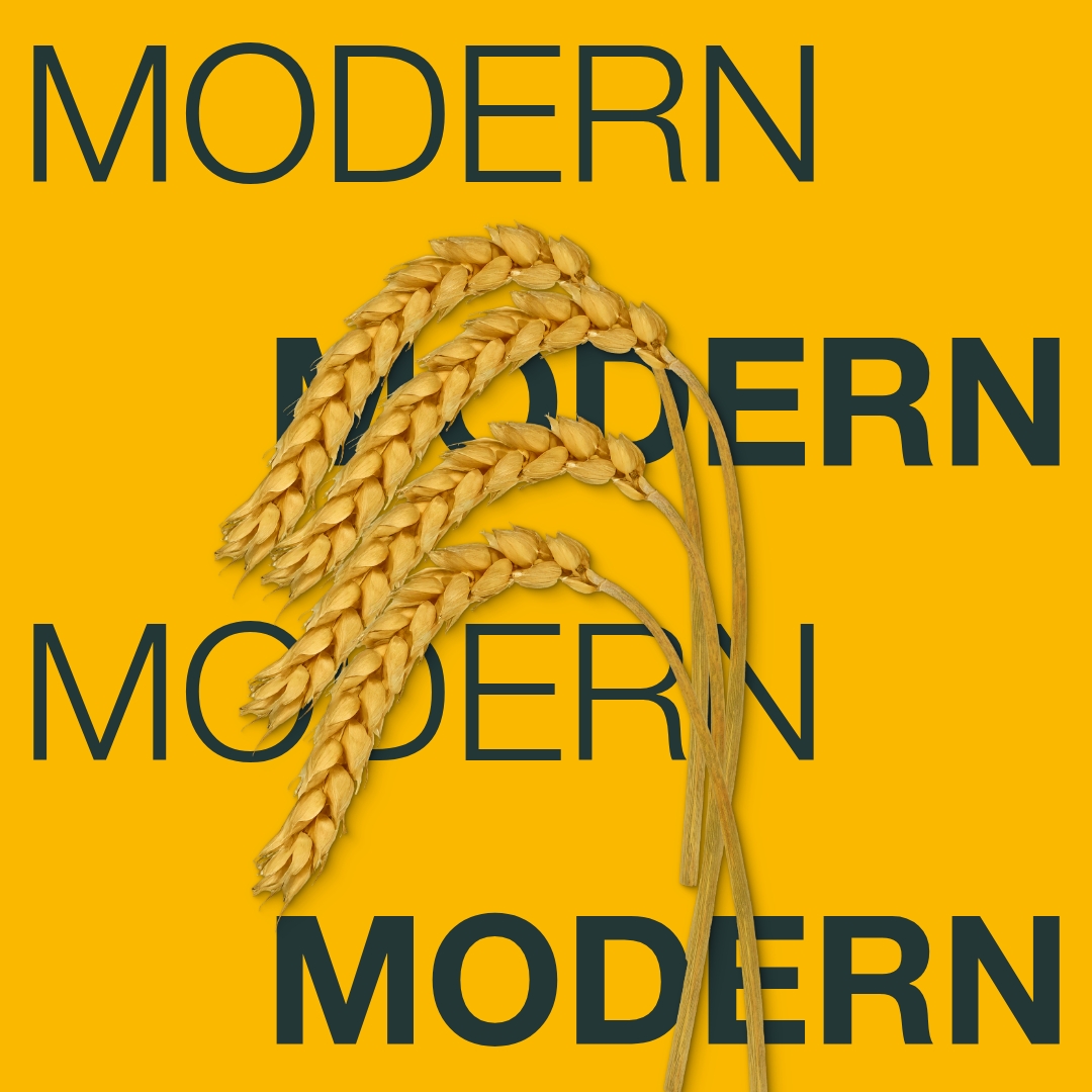 modern_keyvisual_rs_1x1_1.jpg