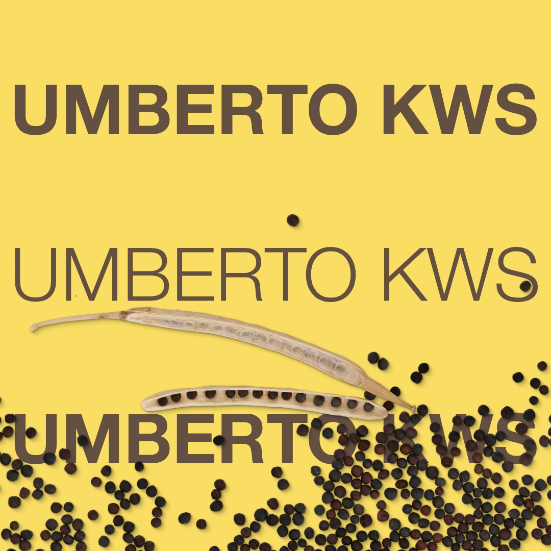 umberto_kws_keyvisual_hr_1x1_1.jpg