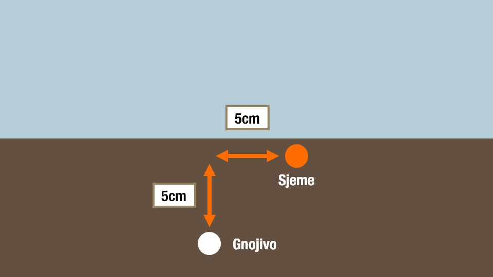 Izvor: KWS SAAT SE &amp; Co. KGaA