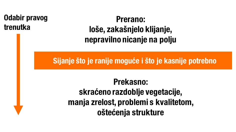 Izvor: KWS SAAT SE &amp; Co. KGaA