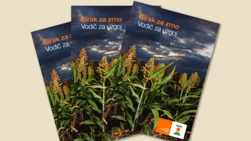 vodic_za_uzgoj_sirka.webp