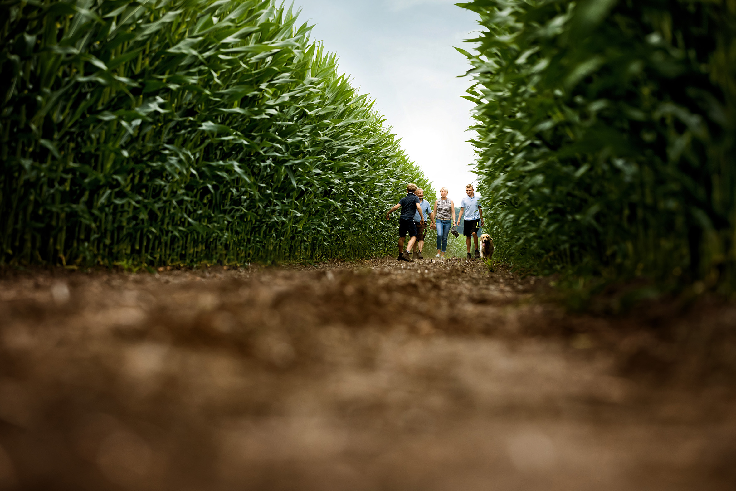 genchange_family_corn_field_0107_web.jpg