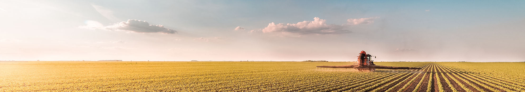 kws_header_markets1.jpg