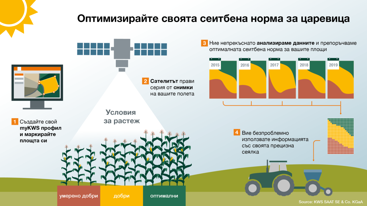 kws_bg_vsr-graphic-bg.png