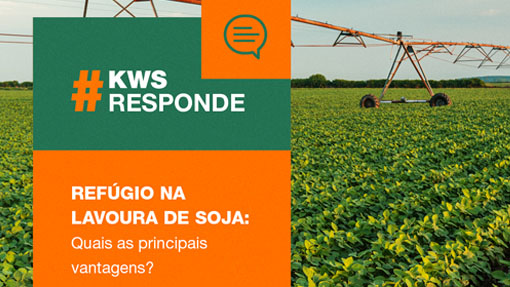 kws_refugio_responde_soja.jpg