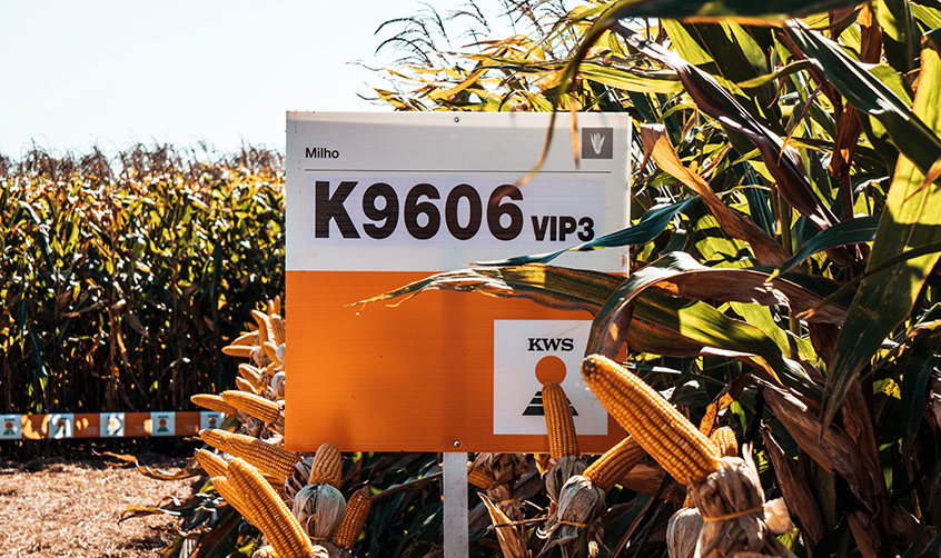 kws_placak9606vip3.jpg