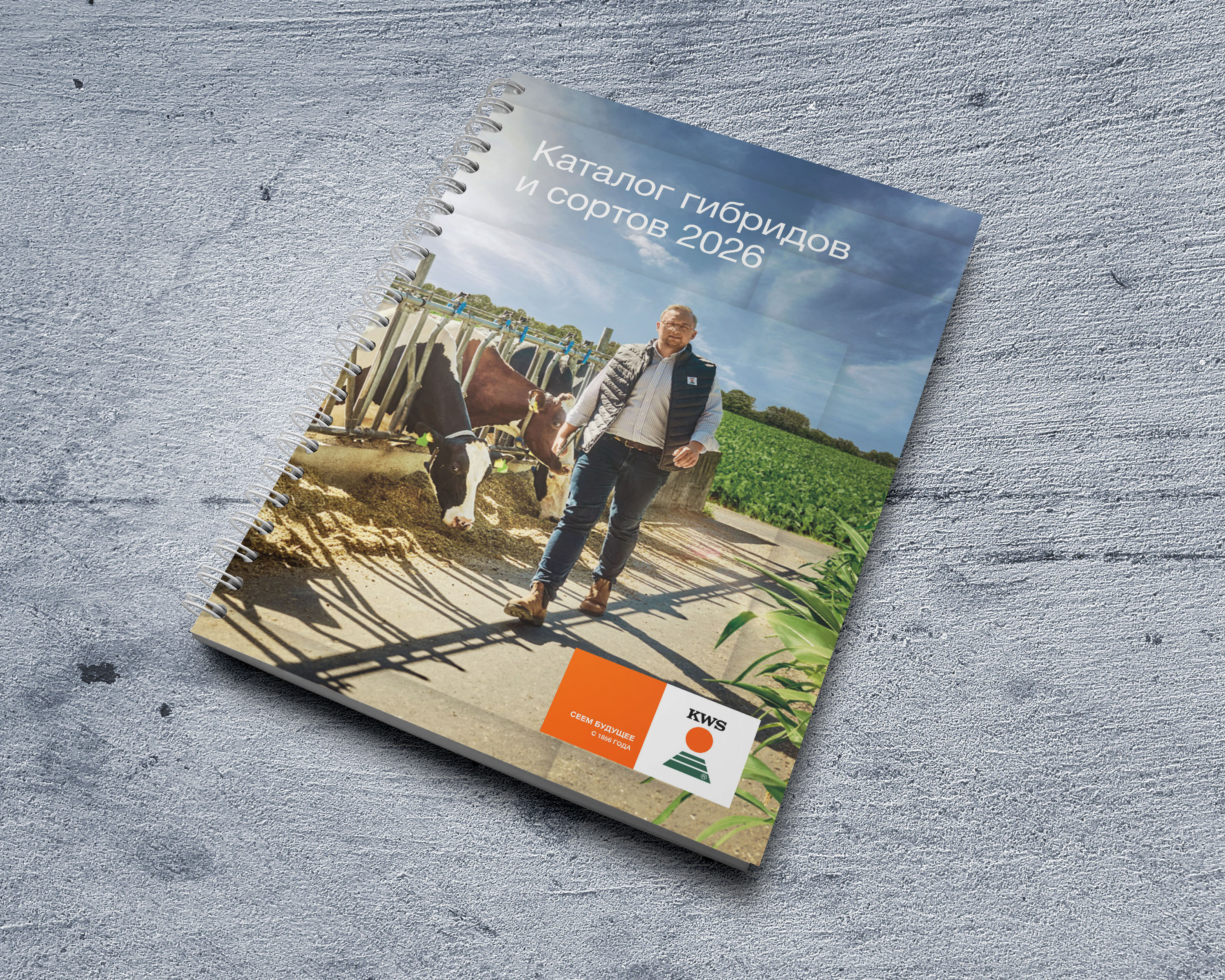 mockup-catalogue.jpg