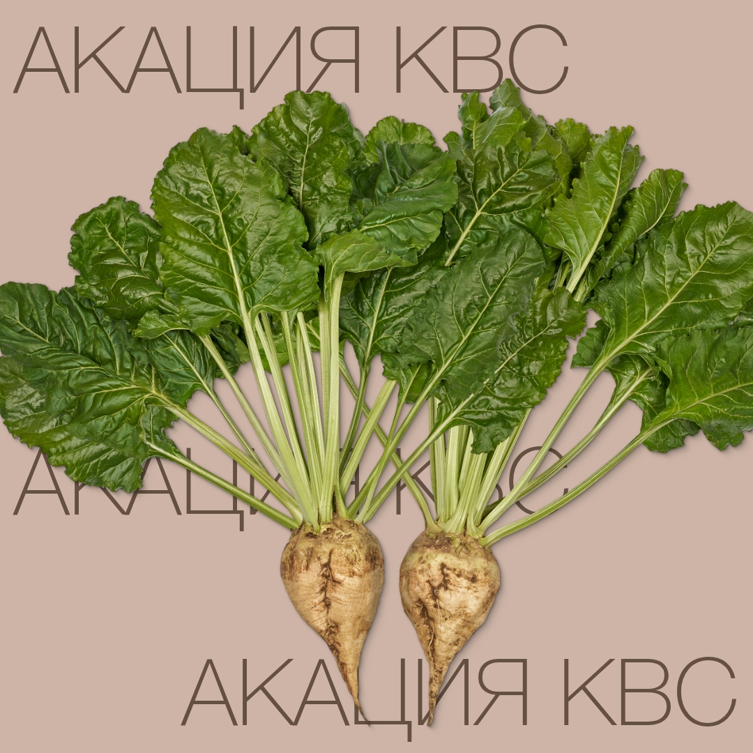 akacia_kvs_keyvisual_by_1x1_1.jpg