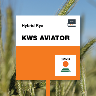 kws aviator