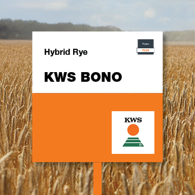KWS BONO