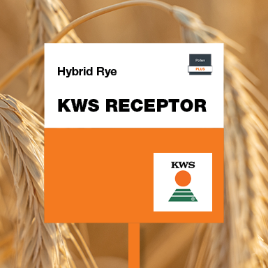 kws receptor