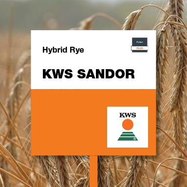 kws sandor