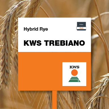 KWS TREBIANO
