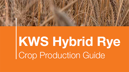 kws hybrid rye crop production guide cover