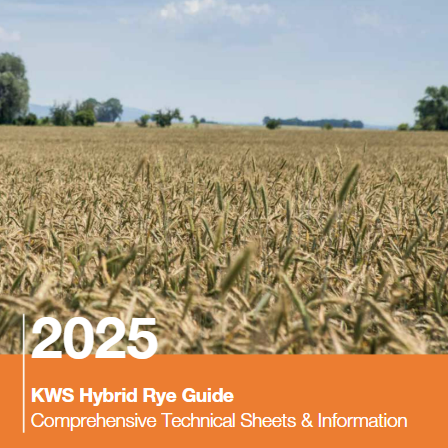 hybrid rye guide