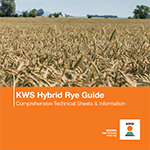 hybrid rye guide