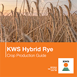 hybrid rye production guide