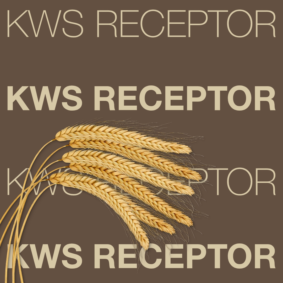 kws receptor