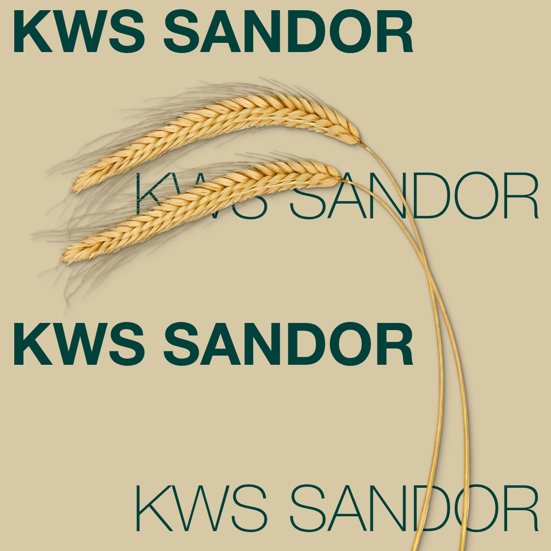 kws sandor