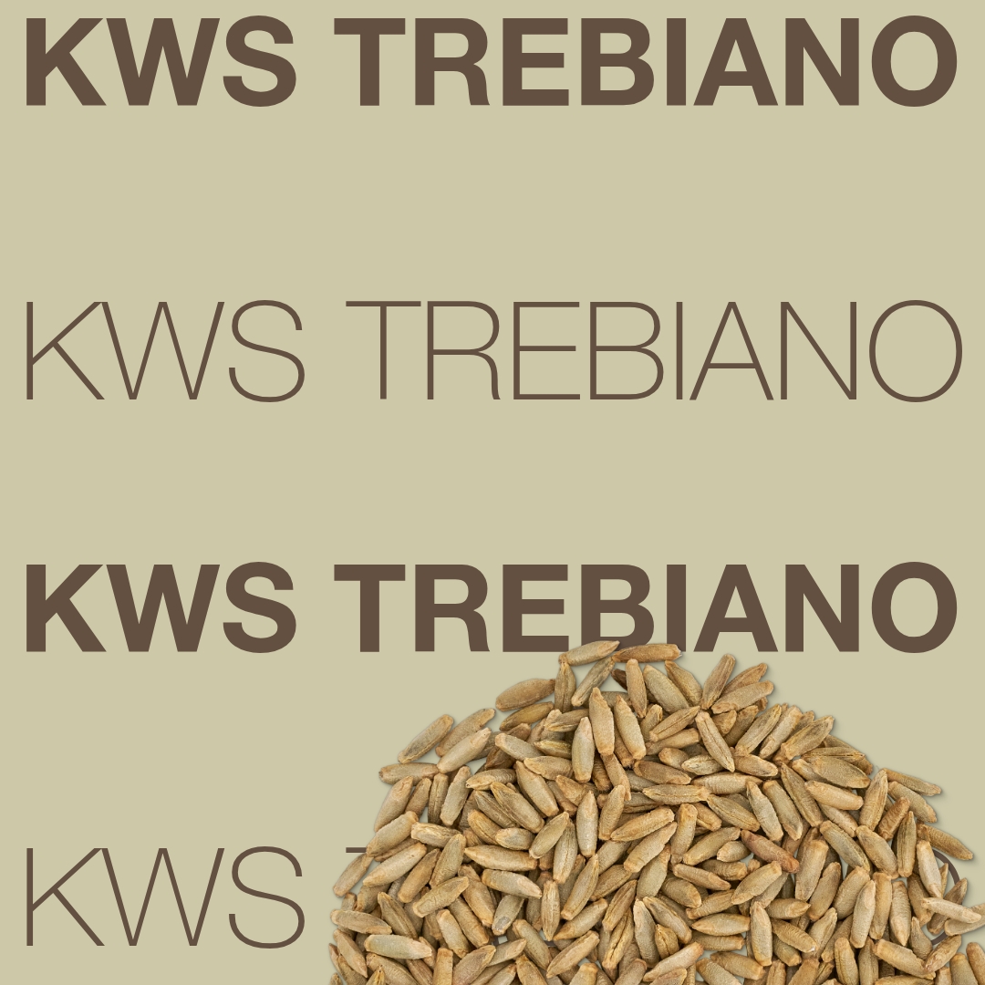 KWS TREBIANO