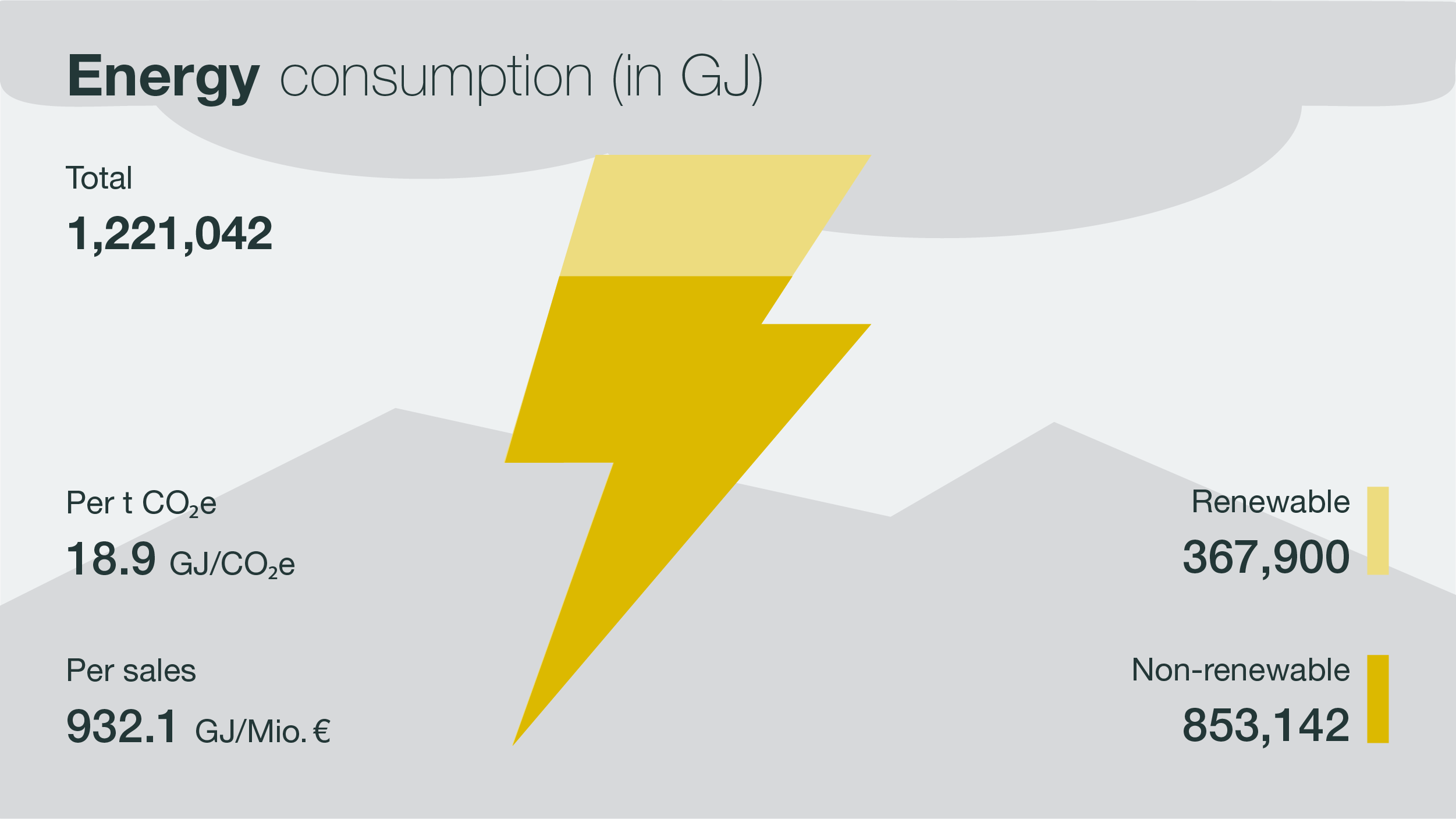 KWS Sustainability Report 2021 — Infographic Energy Consumption