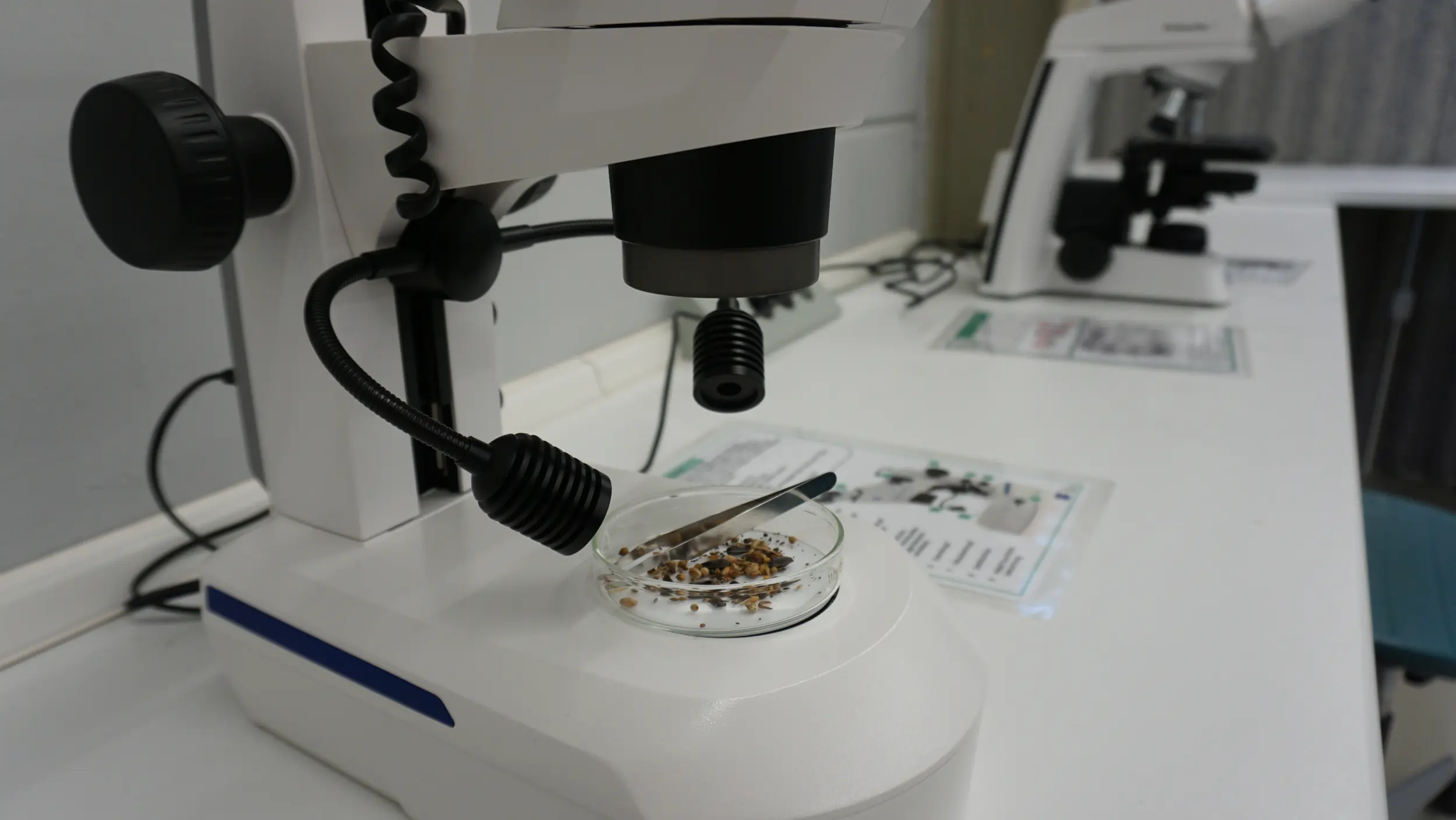 Collage, links ein selbst gebauter Roboter, rechts eine Schülerin welches an einem Mikroskop forscht