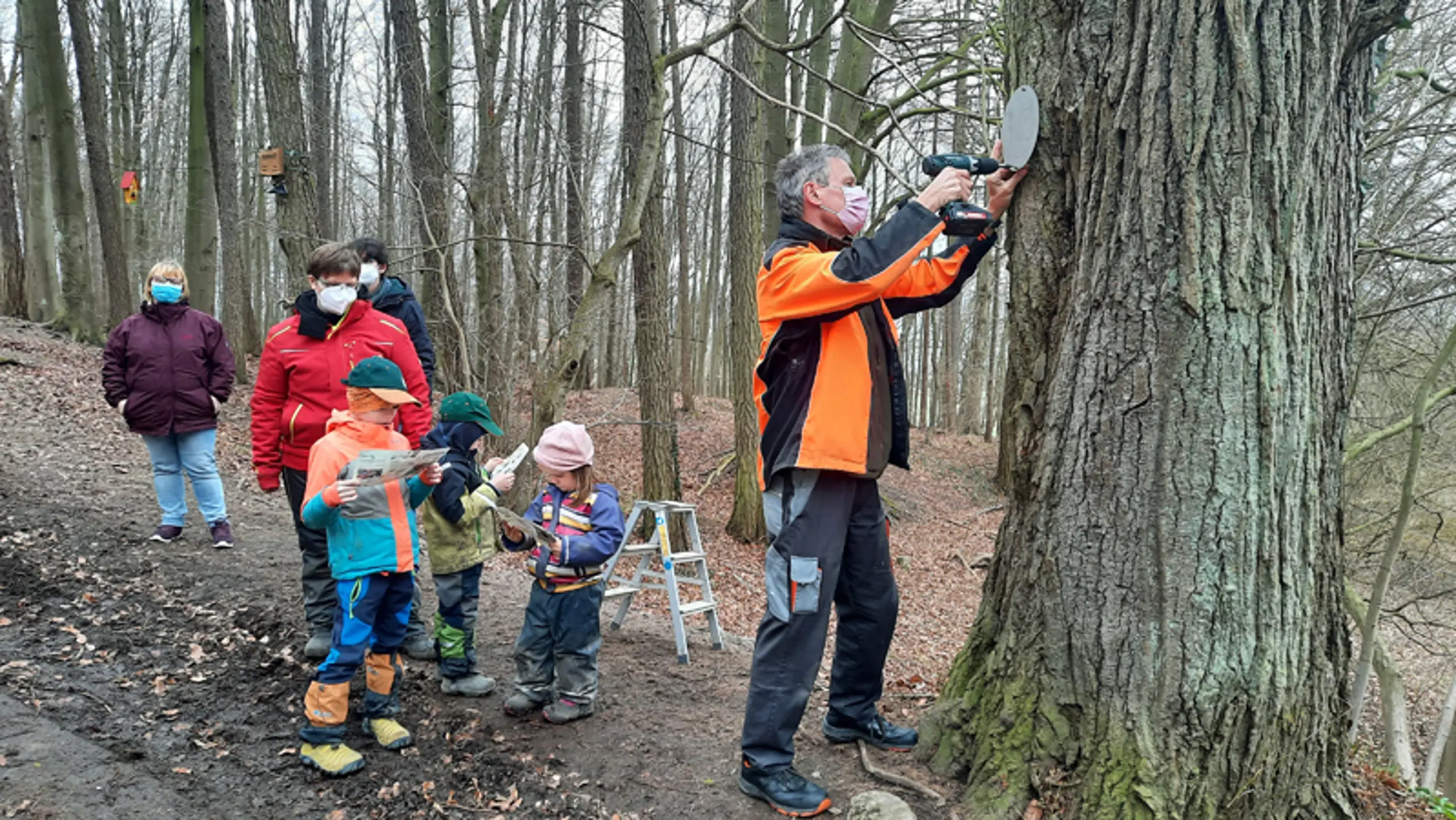 Assembly work in the forest – a group of children helping out