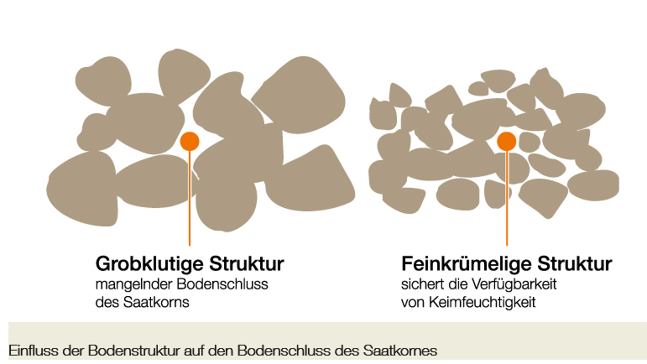 Quelle: KWS SAAT SE & Co. KGaA