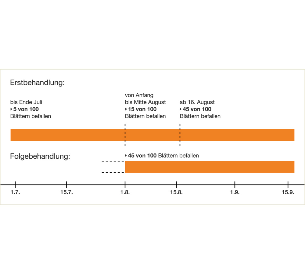 blattrupfmethode_bekaempfungsschwellen.jpg