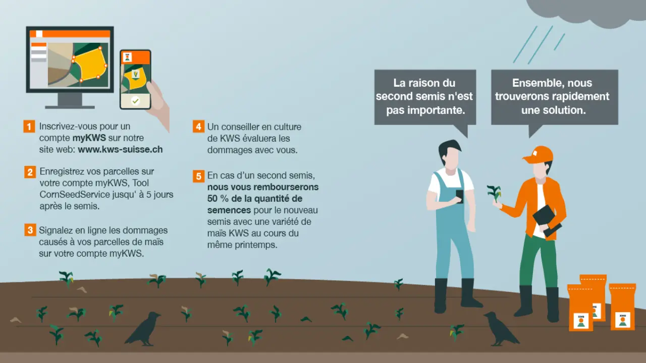 kws_ch_cornseedservice_erklaergrafik_fr.jpg
