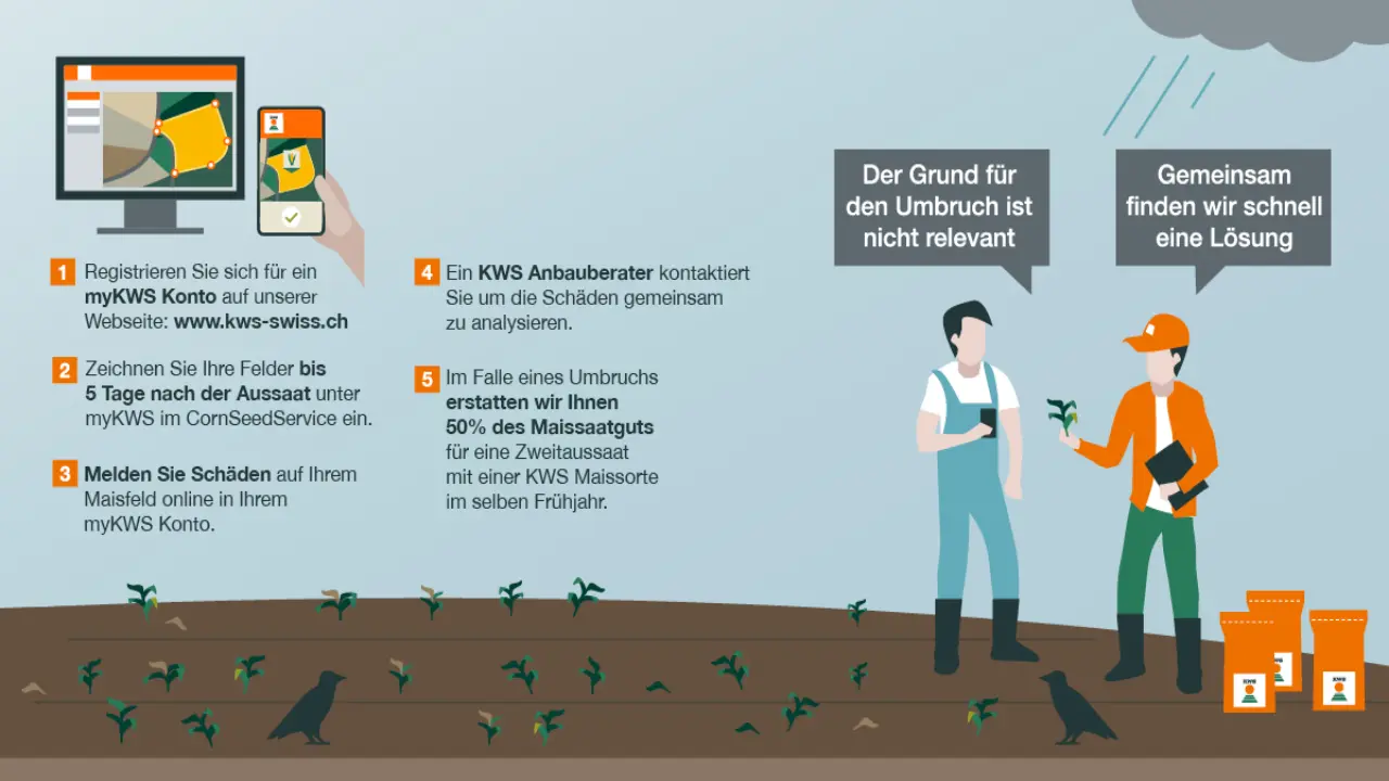 kws_ch_cornseedservice_erklaergrafik.jpg