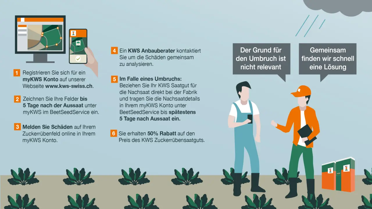 kws_ch_beetseedservice_erklaergrafik_de.jpg