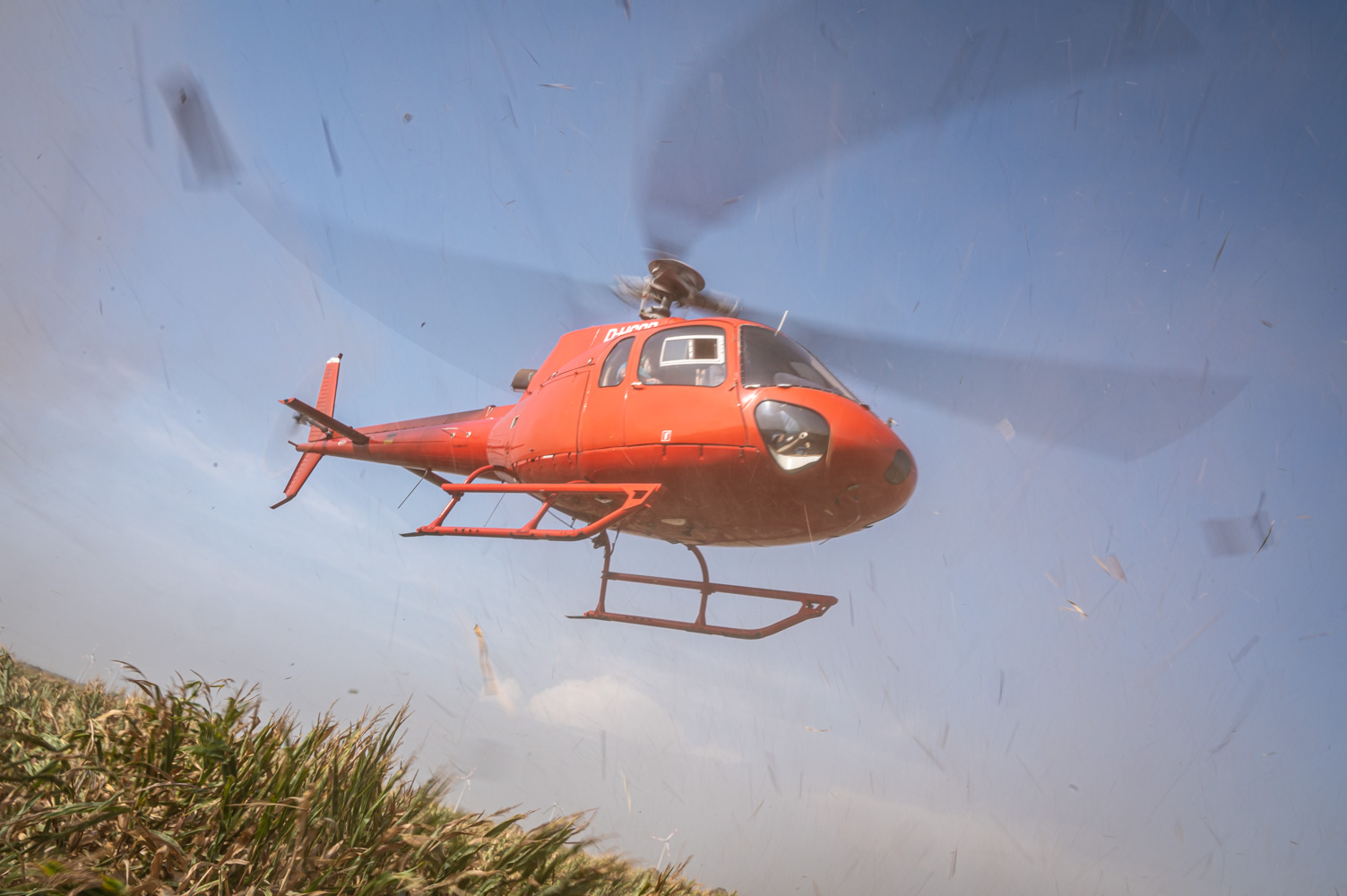 Helicoptero sobrevolando cultivos 