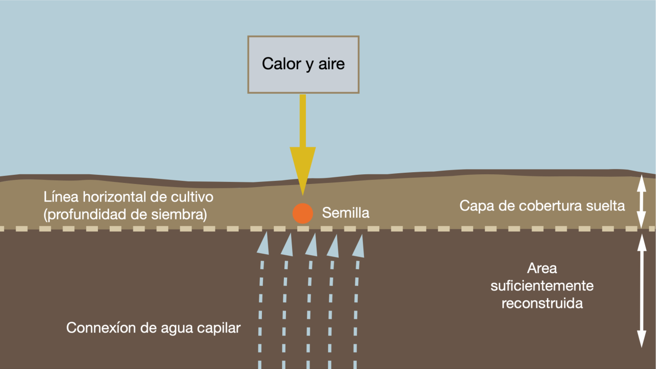 kws-cl-asesoriamentio-siembra-laboreo-remolacha-azucarera-preparacion-semillero.png