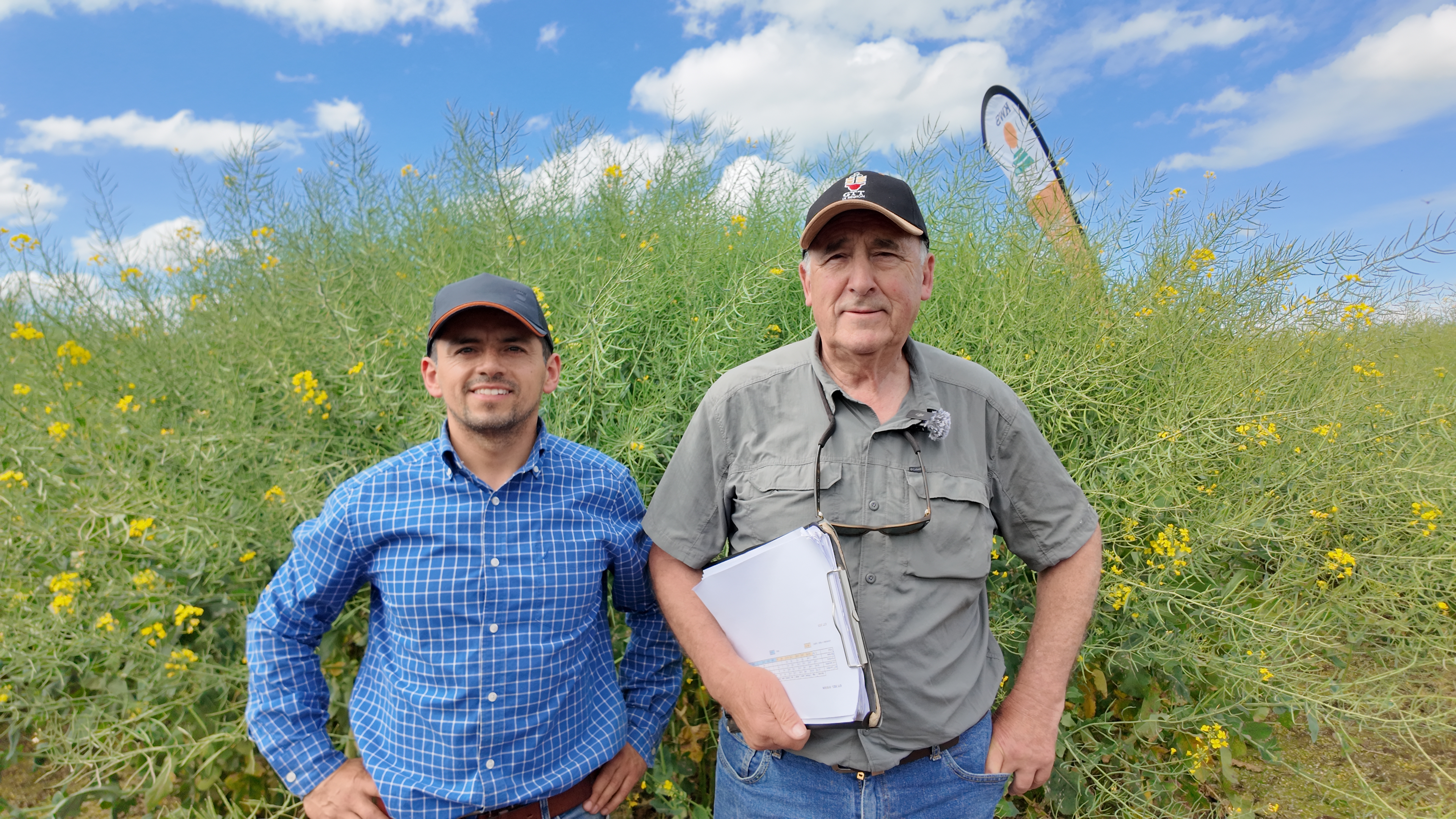 GTT SOFO Temuco 2025